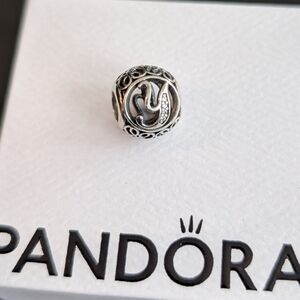 Pandora Charms